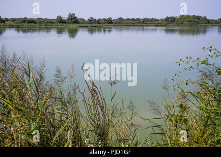 Grand Turlet Teich, Villars les Dombes, Frankreich Stockfoto