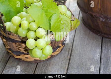 Frische, grüne Trauben in einer rustikalen Korb auf ein verwittertes Holz- Oberfläche Stockfoto