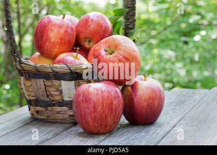 Im freien Einstellung von einem Bündel frische rote Äpfel und Korb auf einem rustikalen Holztisch Stockfoto