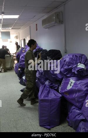 CAMP TAJI, Irak - am 19. Juli, Mitglieder der 328 Human Resources Unternehmen, das vom 787Th bekämpfen Sustainment Support Bataillons unterstützt, zusammen mit ein paar anderen Freiwilligen aus Einheiten über das Lager, empfangen und sortiert 500 Säcke von Mail. Die Taschen wurden fast bis zur Decke des Mailroom und alle, die die Flure gestapelt. Stockfoto