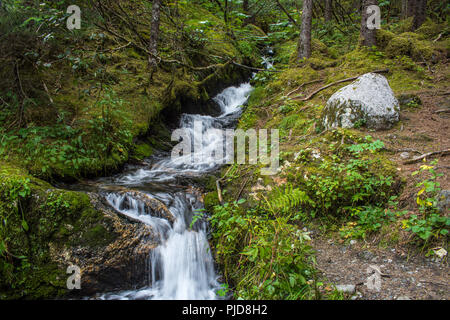 Kleiner Bach in der Nähe von Juneau Mendenhall Gletscher, Alaska Stockfoto