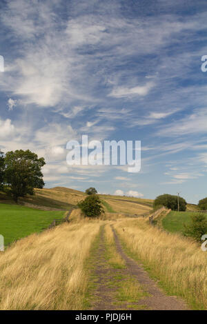 South Tyne Trail, Slaggyford, Großbritannien Stockfoto