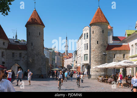 Tallinn Viru Tor, Ansicht des Viru Tor in Tallinn - Der östliche Eingang in die Zentrale mittelalterliche Altstadt der Stadt, Estland. Stockfoto