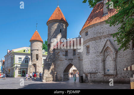 Viru Gate, Blick auf das malerische Viru Gate in Tallinn - von innen gesehen das historische zentrale mittelalterliche Altstadt Viertel der Stadt, Estland. Stockfoto