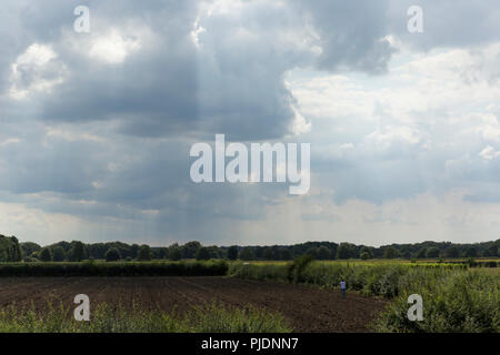 Mann mit Metalldetektor in Feld auf einem sehr hell und steif und hellen Tag. Stockfoto