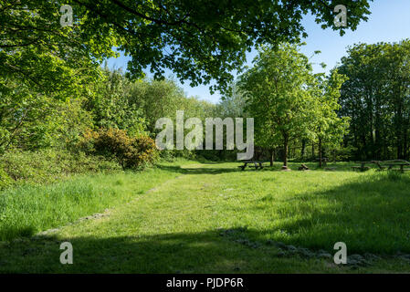 River Wey und Godalming Navigationen und Dapdune Wharf, Guildford Stockfoto