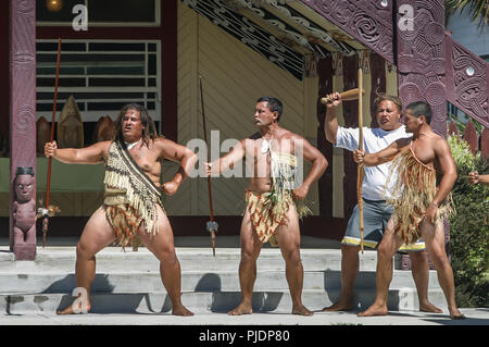 Willkommen Commitee traditionellen Maori in Neuseeland Stockfoto