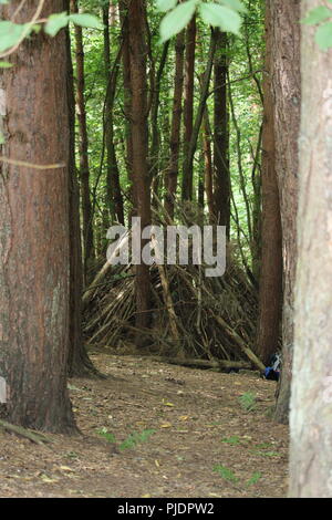 Schauen tief in die Natur, und dann wird alles besser zu verstehen. " - Albert Einstein Stockfoto