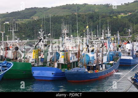 MSC-zertifizierte Weißer Thunfisch Troll und Pol&line Fischereiflotte in Getaria Hafen (Baskenland) Stockfoto