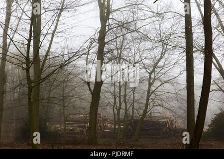 Holz logger Außenlager im Winter. Stockfoto