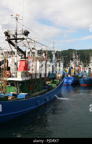 MSC-zertifizierte Weißer Thunfisch Troll und Pol&line Fischereiflotte in Getaria Hafen (Baskenland) Stockfoto