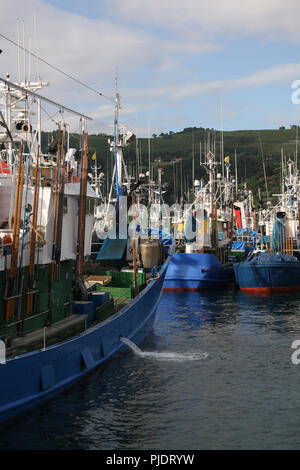 MSC-zertifizierte Weißer Thunfisch Troll und Pol&line Fischereiflotte in Getaria Hafen (Baskenland) Stockfoto