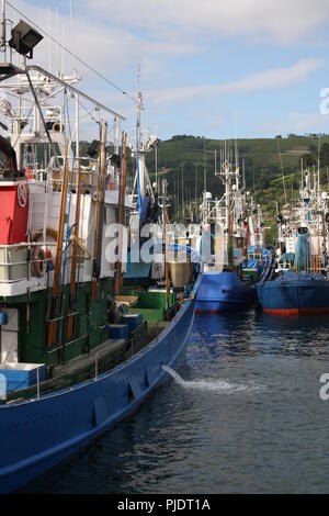 MSC-zertifizierte Weißer Thunfisch Troll und Pol&line Fischereiflotte in Getaria Hafen (Baskenland) Stockfoto
