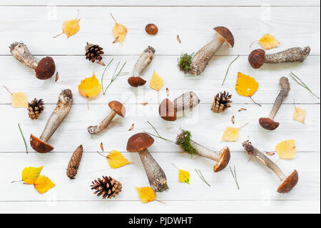 Muster der Herbst Pilze und Blätter auf die texturierte weißer Tisch Stockfoto