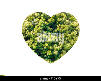 Herz aus Bäumen, Luftbild, das Konzept der Liebe der Natur Stockfoto