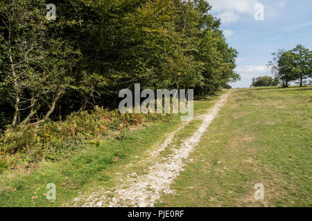 Pfad bis zu Lambert Schloss Eisenzeit Hill fort, in der Marshwood Vale, Dorset. Stockfoto