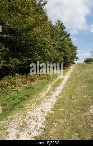 Pfad bis zu Lambert Schloss Eisenzeit Hill fort, in der Marshwood Vale, Dorset. Stockfoto