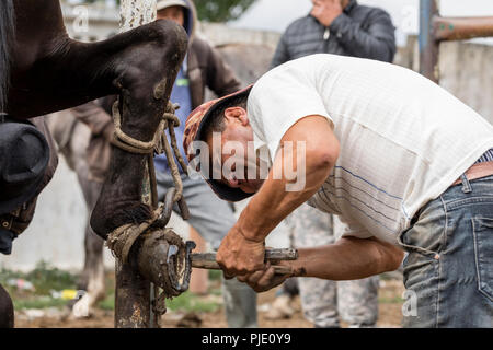 Karakol, Kirgisistan, 13. August 2018: Hufschmied auf den wöchentlichen Tiermarkt in Karakol änderungen Pferde Hufeisen Stockfoto
