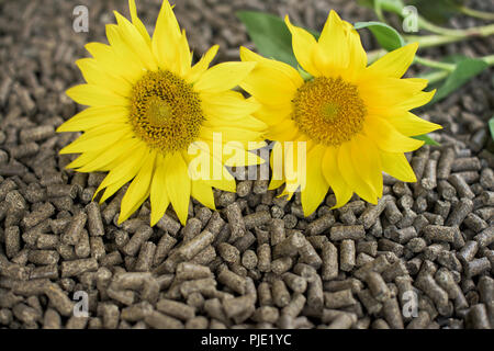 Synflower Biomasse - Pflanzen, Blüten und pellets Stockfoto