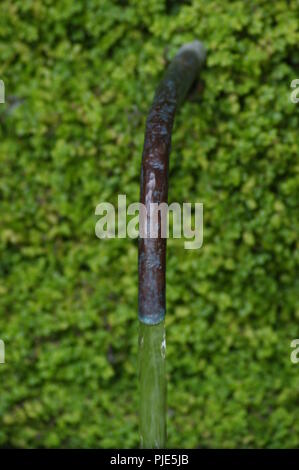 Gros Plan d'une Fontaine ancienne sur un Fond de Mur végétalisé dans un jardin Aquatique, Nahaufnahme von einem alten Brunnen auf einer grünen Wand Hintergrund in einem Stockfoto