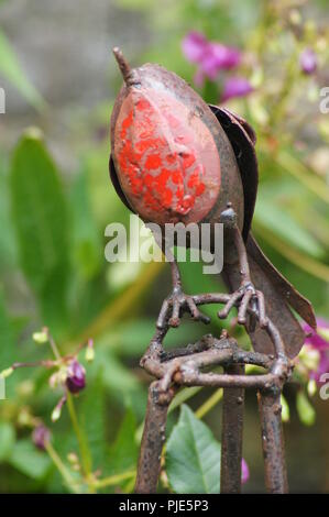 Gros Plan d'un Rouge Gorge en fer forgé Objet de décoration de jardin, Nahaufnahme eines roten Schmiedeeisen Kehle Objekt für Gartendekoration, Nahaufnahme Stockfoto