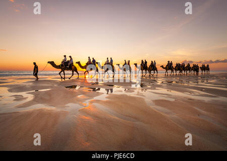 Kamel Tour an der berühmten Cable Beach in Broome. Stockfoto