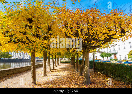 Eine schöne Linde-Pfad in einem Park in Bad Karlshafen, Deutschland gesäumt. Die Bäume mit bunten Blättern, ein blauer Himmel, weiße Bänke und das Hafenbecken... Stockfoto