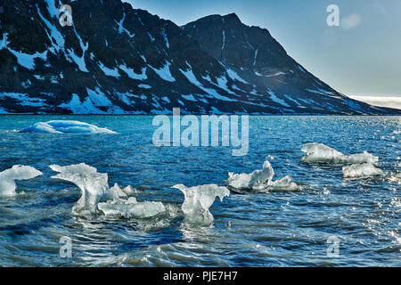 Eisschollen der Gletscher Gullybreen, Landschaft von Magdalenefjorden oder Spitzbergen, Svalbard, Europa Stockfoto