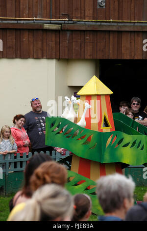 Indische laufen Enten als Teil einer Schäferhund Show auf der Großen Schafe in North Devon. Stockfoto