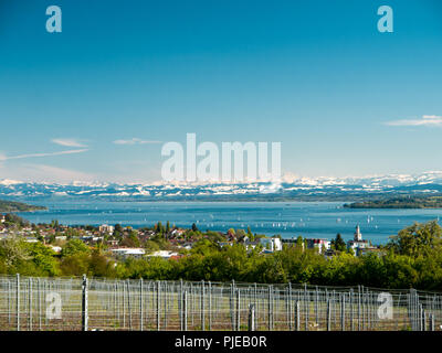 Panoramablick auf den Bodensee mit den Schweizer Alpen im Hintergrund Stockfoto