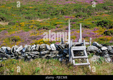 Eine einfache hölzerne Stil über eine Trockenmauer können Wanderer Zugang zu den unberührten Heidekraut und furze gestreut Highland Hills. Der Himmel auf Erden. Stockfoto