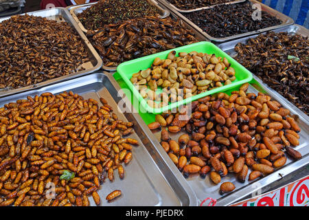 Frittierte Heuschrecken, Raupen, Kakalaken, Chillva Markt, Phuket, Thailand, frittierte Heuschrecken, Raupen, Chillva Markt Stockfoto