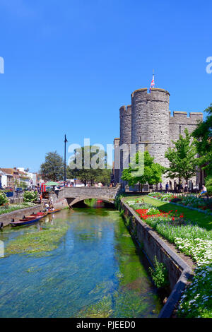 Stochernd auf der Great Stour mit westgate Towers im Hintergrund, Canterbury Stockfoto