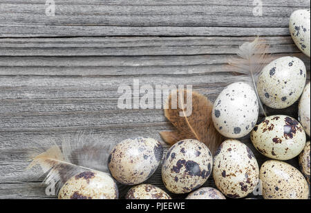 Gefleckte Wachtel Eier und Federn in einer Form des Rahmens angeordnet auf dem Hintergrund der alten hölzernen Brettern, mit copy-Raum Stockfoto