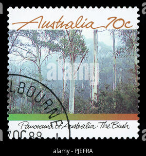 Australien - ca. 2004: Eine Briefmarke gedruckt in Australien zeigt eine Katze, ca. 2004 Stockfoto