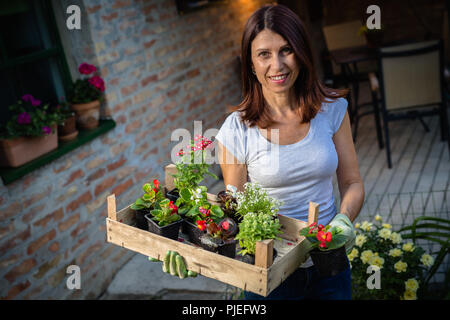 Mitte der gealterte Frau pflanzen Holding Stockfoto