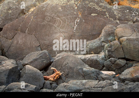 Dichtung petroglyph entlang Coast Trail, East Sooke Regional Park, Sooke, British Columbia, Kanada Stockfoto