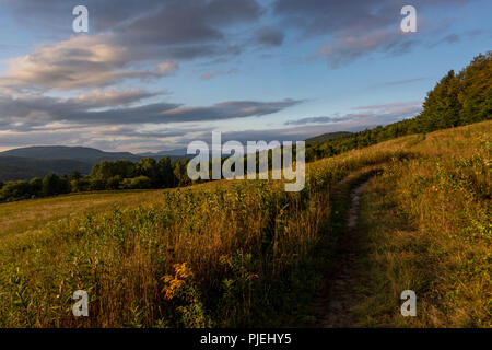 Goldenes Sonnenlicht auf offenem Feld in Vermont. Stockfoto