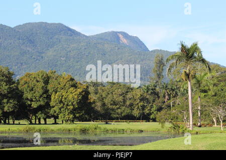 Landschaft mit Palmen und anderen Bäumen, einem Teich und Mount Isobel im Hintergrund Stockfoto