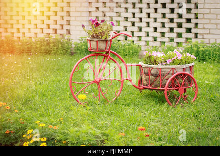 Blumen in Körben auf ein Blumenbeet in Form von einem Fahrrad. Garten Stockfoto