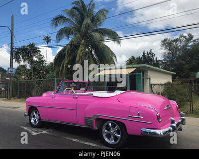 Rosa Retro cabrio Auto mit Chrom Teile auf der Straße, tropischer Wald mit Palmen an den Seiten, Wohngebiet im Dschungel, Havanna, Kuba Stockfoto