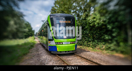 London, England - Juli 2018: Moderne Straßenbahn auf Schienen durch den Wald gehen Stockfoto