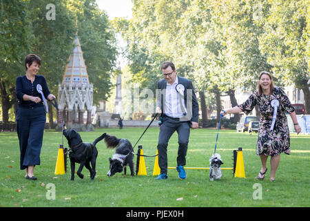 London, Großbritannien. 6. September 2018. 26. jährlichen Westminster Hund des Jahres. Credit: Guy Corbishley/Alamy leben Nachrichten Stockfoto