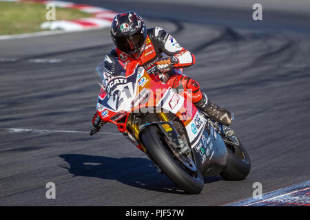 Winton, Victoria, Australien. 7. Sep 2018. Troy Bayliss Racing für Desmosport Ducati Racing, Reitschule seine Ducati 1299 Final ED während der Praxis. Credit: Brett Keating/Alamy leben Nachrichten Stockfoto