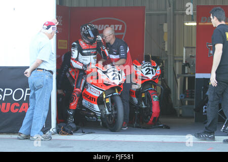 Winton, Victoria, Australien. 7. Sep 2018. Troy Bayliss Racing für Desmosport Ducati Racing, Reitschule seine Ducati 1299 Final ED confering mit seinem Team in der Box während der Praxis. Credit: Brett Keating/Alamy leben Nachrichten Stockfoto
