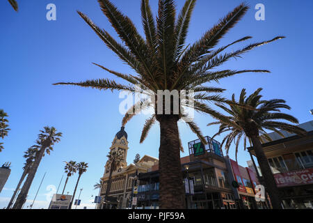 Adelaide Australien. 7. September 2018. Die Menschen genießen einen sonnigen milden Tag in Moseley Square Glenelg in den küstennahen Vorort von Adelaide im frühen Frühjahr Credit: Amer ghazzal/Alamy leben Nachrichten Stockfoto