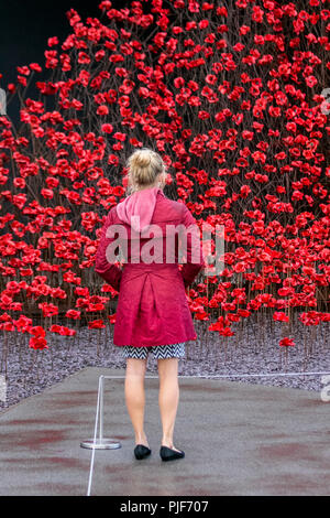 Manchester, Großbritannien. 7. September 2018. Die ikonischen poppy Skulptur Welle von Künstler Paul Cummins und Designer Tom Piper am IWM in Richtung Norden. Dies ist die abschließende Darstellung der Welle als Teil von 14-18 gedenken. Es ist das erste Mal, dass Manchester war Gastgeber eines dieser Kunstwerke. Die Installation "Blut fegte Länder und Meere der roten Mohnblumen ein originelles Konzept von Künstler Paul Cummins und Installation, der von Tom Piper. Die Installation wurde ursprünglich an der HM Tower von London, wo 888,246 Mohnblumen angezeigt wurden. Credit: MediaWorldImages/Alamy leben Nachrichten Stockfoto