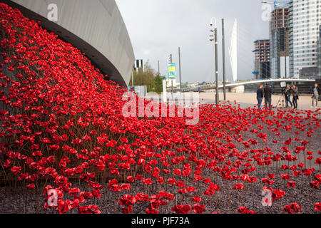 Manchester, Großbritannien. 7. September 2018. Die ikonischen poppy Skulptur Welle von Künstler Paul Cummins und Designer Tom Piper am IWM in Richtung Norden. Dies ist die abschließende Darstellung der Welle als Teil von 14-18 gedenken. Es ist das erste Mal, dass Manchester war Gastgeber eines dieser Kunstwerke. Die Installation "Blut fegte Länder und Meere der roten Mohnblumen ein originelles Konzept von Künstler Paul Cummins und Installation, der von Tom Piper. Credit: MediaWorldImages/Alamy leben Nachrichten Stockfoto