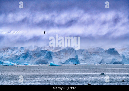 National Geographic, Straße tripblue Eis der Gletscher Kronebreen oder Krone, Kongsfjord, Ny-Ålesund, Spitzbergen oder Spitzbergen, Europa Stockfoto