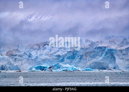 National Geographic, Straße tripblue Eis der Gletscher Kronebreen oder Krone, Kongsfjord, Ny-Ålesund, Spitzbergen oder Spitzbergen, Europa Stockfoto